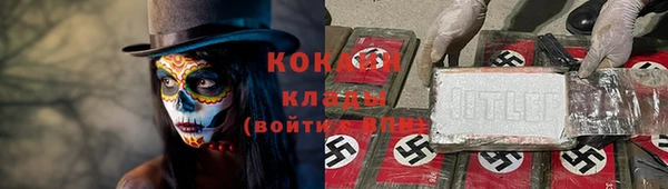 твердый Осинники