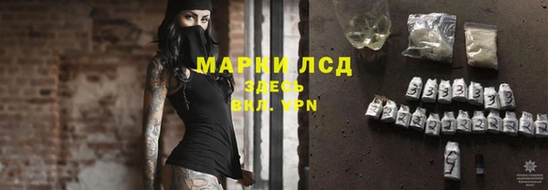 твердый Осинники