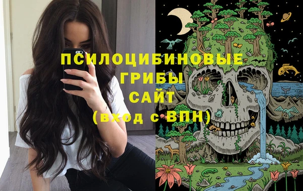 МДМА Осташков