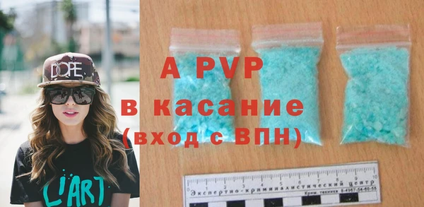 твердый Осинники