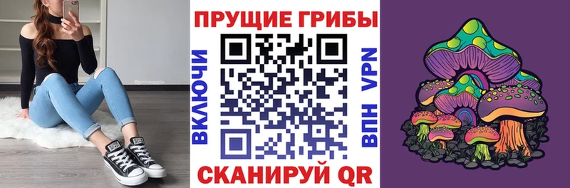 Псилоцибиновые грибы Psilocybine cubensis  Белая Холуница 